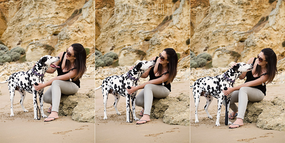 Dalmation Dog Photography Torquay and Geelong 13