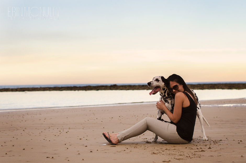 Dalmation Dog Photography Torquay and Geelong 17