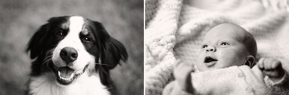 Melbourne-Pet-and-Baby-Photography