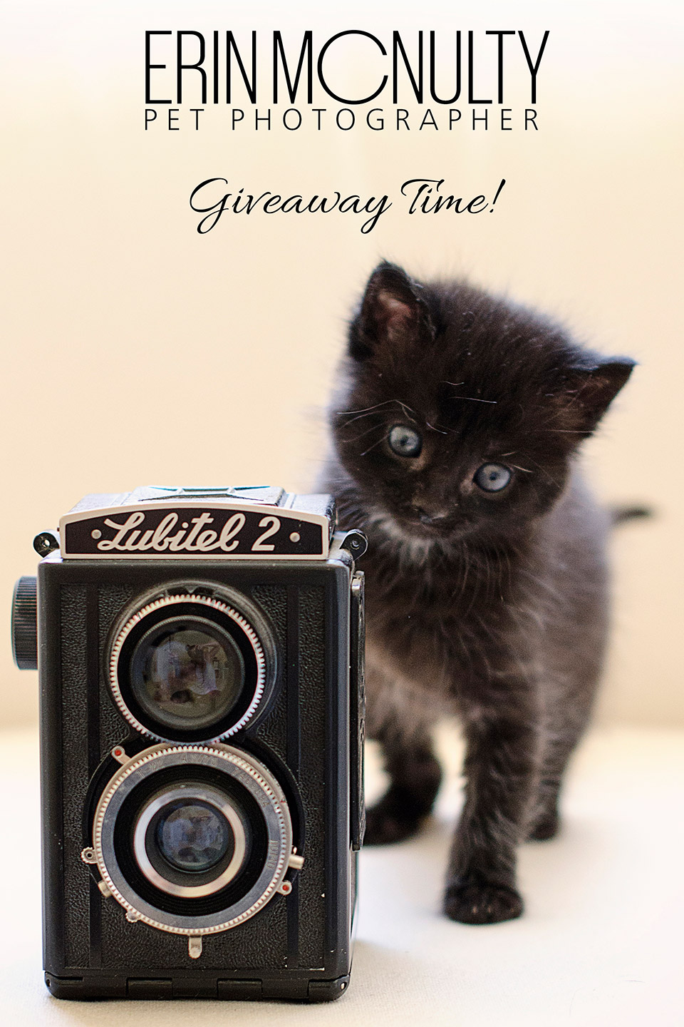 Melbourne-Pet-Photographer-Giveaway