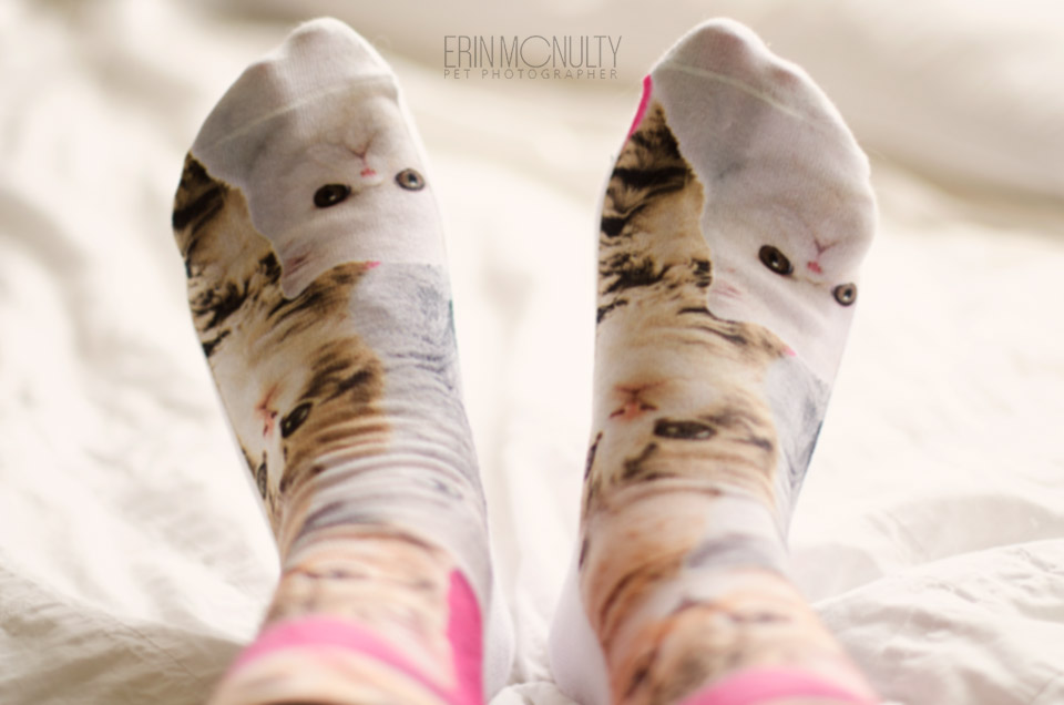 Cat-Lady-Socks-Melbourne